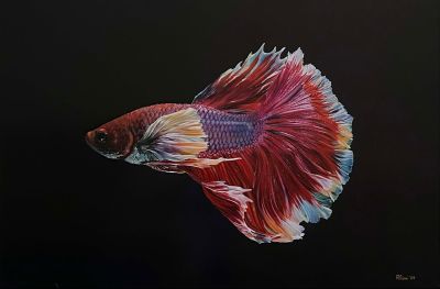 Betta Fish Invenatione Praedarum - 2025 Olio su tela, cm 120x80